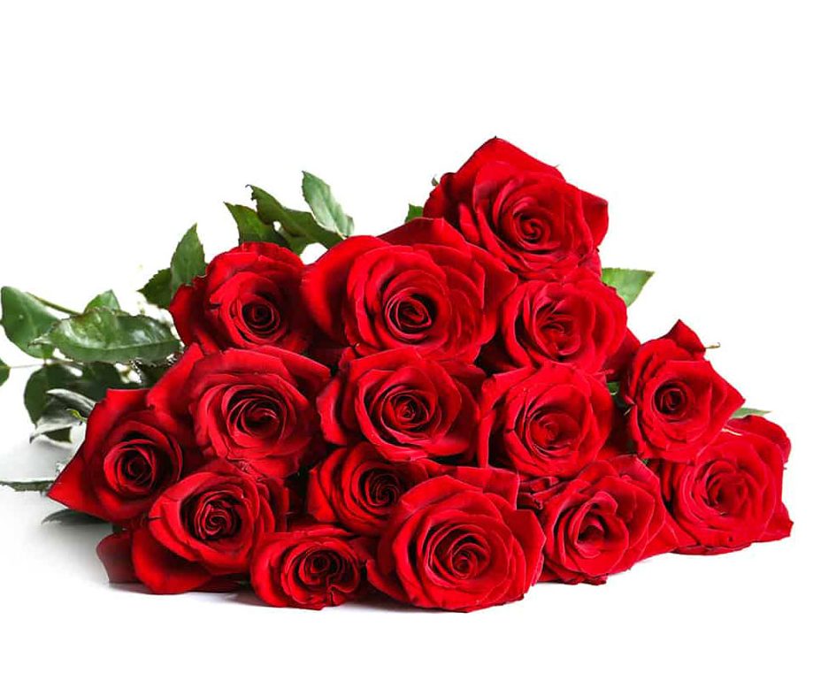 San Valentino , Rose rosse